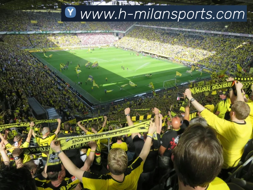 多媒体互动体验